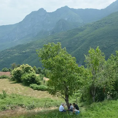 Komani View